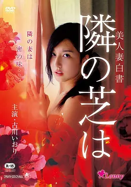 传记电影银盐时代高清完整版在线观看